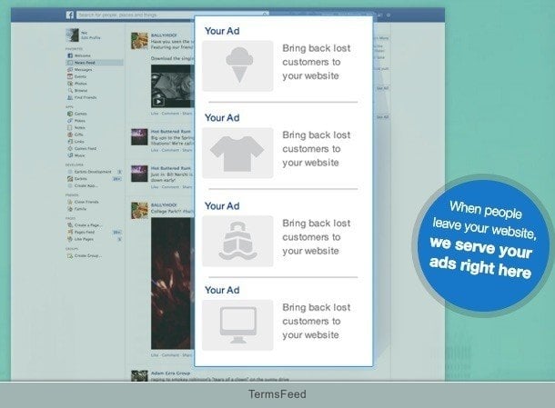 Screenshot from Perfect Audience website