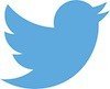 Twitter Logo Icon