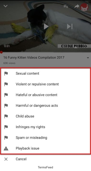 YouTube iOS Reporting Objectionable Content: Choose reason