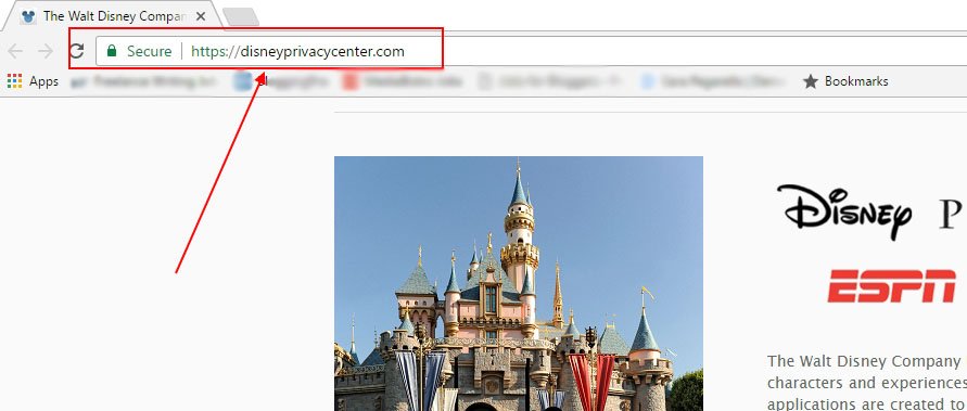 Walt Disney Privacy Center: Privacy Policy URL