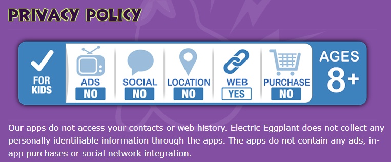 Screenshot of Electric Eggplant's Privacy Policy intro